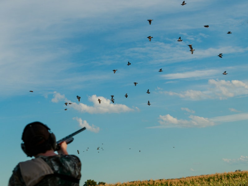 2018 Dove Shooting Cabelas Signature Event, Entre Rios, Argentina