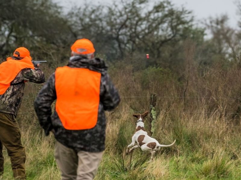 Upcoming event Mixed Bag Bird Shooting Cabelas Signature Event, Entre Rios, Argentina