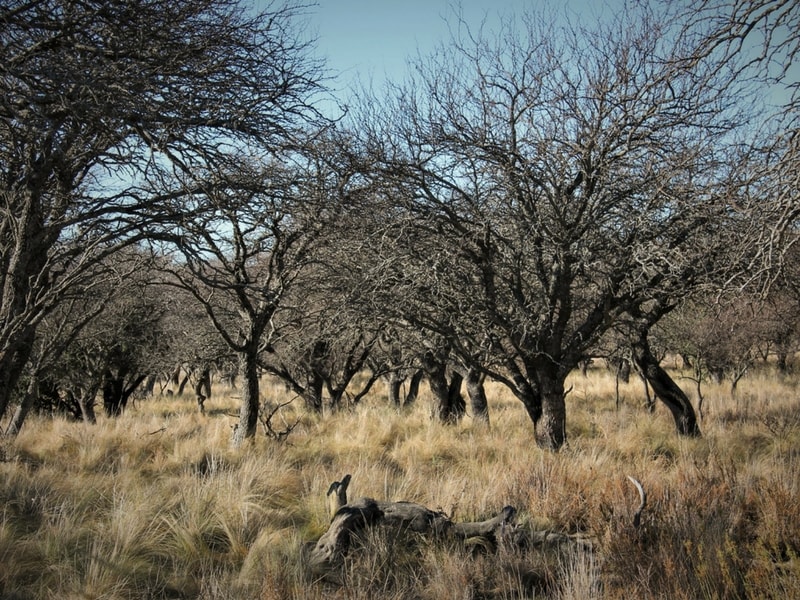 La Pampa